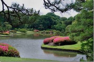 Japanese　Gardens　Tsukiyama3d